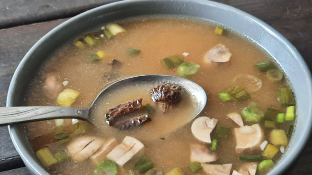 Miso Morel Soup